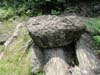 DSC02060.jpg