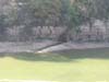 20130926_130610.jpg