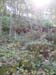 20130926_132217.jpg