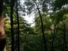 20130928_104753.jpg
