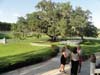 DSC01771.jpg