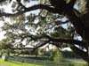 DSC01777.jpg