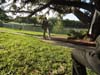 DSC01778.jpg