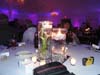 DSC01813.jpg