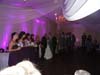 DSC01817.jpg
