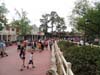 DSC01858.jpg