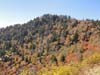 DSC02077.jpg