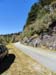 DSC02081.jpg