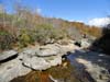 DSC02086.jpg