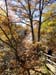 DSC02090.jpg