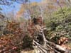 DSC02091.jpg