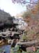 DSC02095.jpg