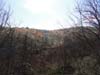DSC02102.jpg