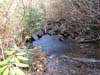 DSC02111.jpg