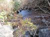 DSC02112.jpg