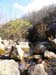 DSC02113.jpg