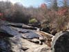 DSC02117.jpg