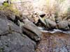DSC02119.jpg