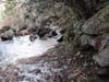 DSC02122.jpg