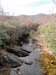DSC02124.jpg