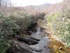 DSC02125.jpg