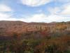 DSC02129.jpg