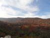DSC02133.jpg