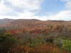 DSC02134.jpg