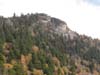DSC02140.jpg