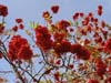 DSC02141.jpg