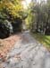 DSC02155.jpg
