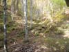 DSC02165.jpg