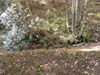 DSC02166.jpg