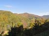 DSC02170.jpg
