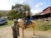 DSC02177.jpg