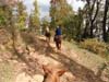 DSC02186.jpg