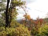 DSC02187.jpg