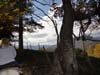 DSC02197.jpg