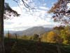 DSC02198.jpg