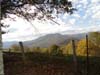 DSC02200.jpg