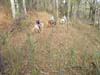 DSC02206.jpg