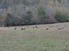 DSC02211.jpg