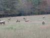 DSC02212.jpg