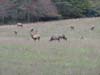 DSC02213.jpg