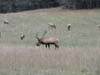 DSC02215.jpg