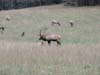 DSC02216.jpg