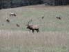 DSC02219.jpg