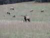 DSC02220.jpg