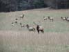 DSC02225.jpg