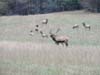 DSC02226.jpg